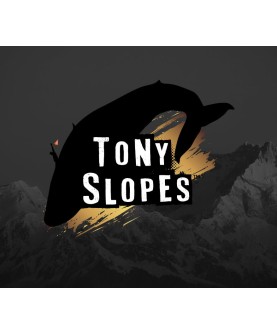 Tony Slopes Steam Key GLOBAL